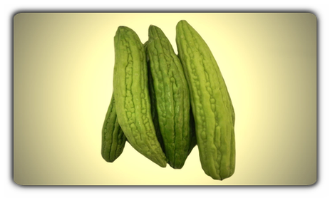 Thai Bitter Melone