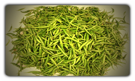 Grüne Chilli