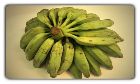 Ceylon Kochbanane