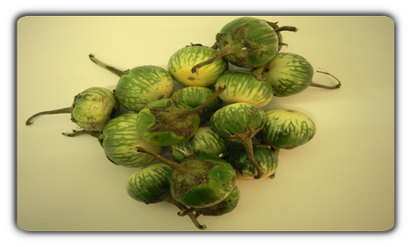 Thai  Aubergine